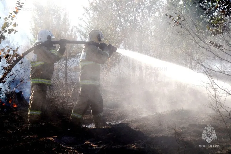 В Самарской области за пять дней вспыхнуло 109 пожаров