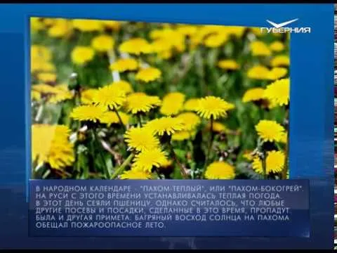 Календарь губернии от 28.05.2018