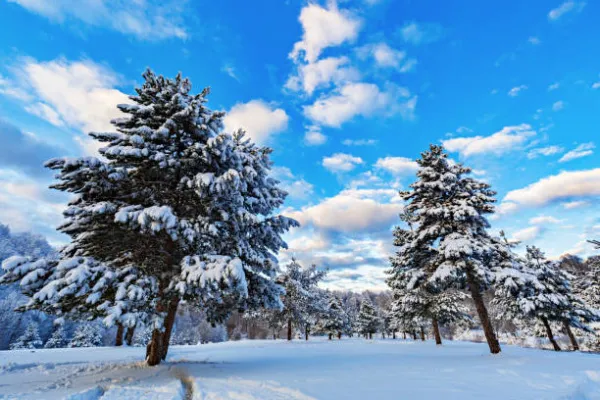 В Самарской области 30 ноября будет облачная и морозная погода