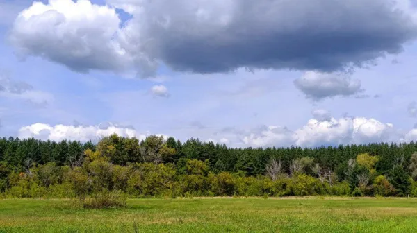 Волонтеров Самарской области обучили поиску пропавших людей