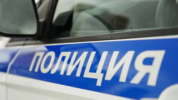 В Тольятти иномарка сбила женщину на зебре