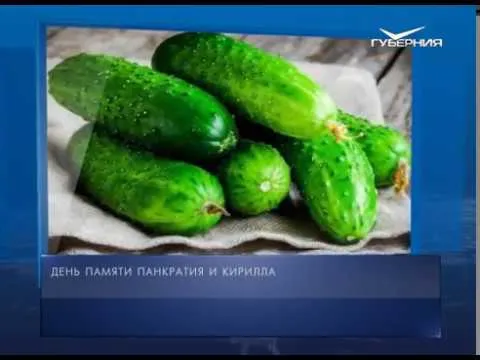 Календарь губернии от 22.07.2018