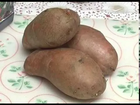 Как подготовить картофель к посадке. Дачные советы