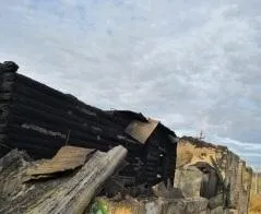 Троих малышей, погибших ночью при пожаре в Самарской области, мать оставила дома одних