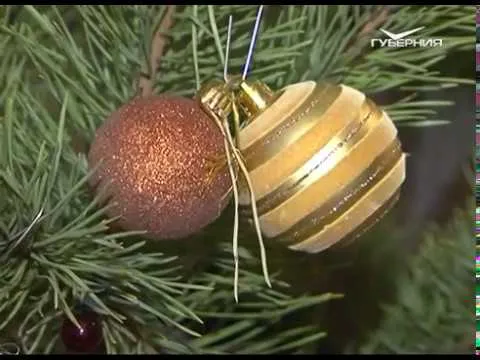Новости Губернии от 28.12.2017