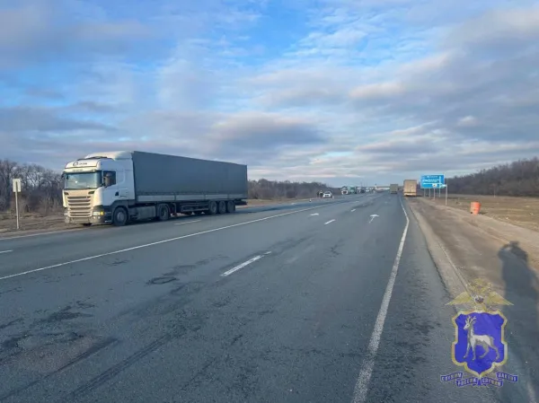 В Самарской области на трассе М5 фура сбила мужчину