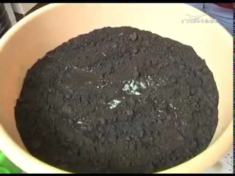 Как обогатить почву без химии. Дачные советы