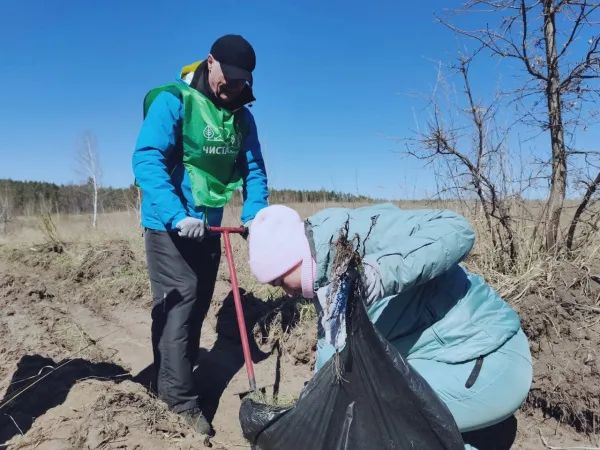 В тольяттинском лесу высадили 18 тысяч саженцев сосны