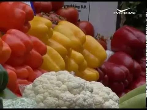 Азбука потребителя 24.05.2016