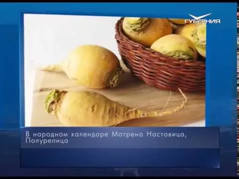 Матрёна Полурепица. Календарь губернии от 9 апреля