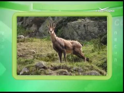 Календарь губернии 22.05.2017