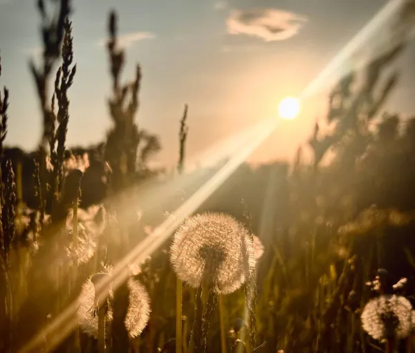 В Самарской области 30 мая вновь ожидается палящее солнце