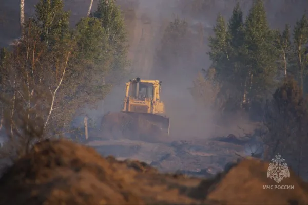 Роспотребнадзор проверил качество воздуха после крупного природного пожара в Тольятти