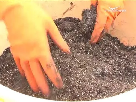 Готовим почвенную смесь для рассады. Дачные советы