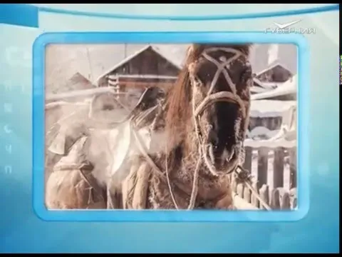 Календарь губернии 29.01.2016