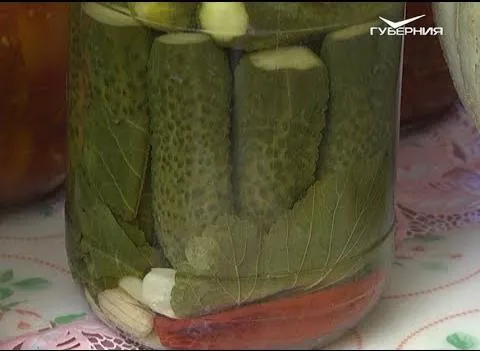 Огурцы на праздничном столе. Дачные советы