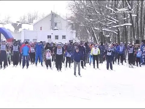 “Лыжня России”. Новости Губернии от 11 февраля