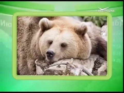 Календарь губернии 16.03.2016