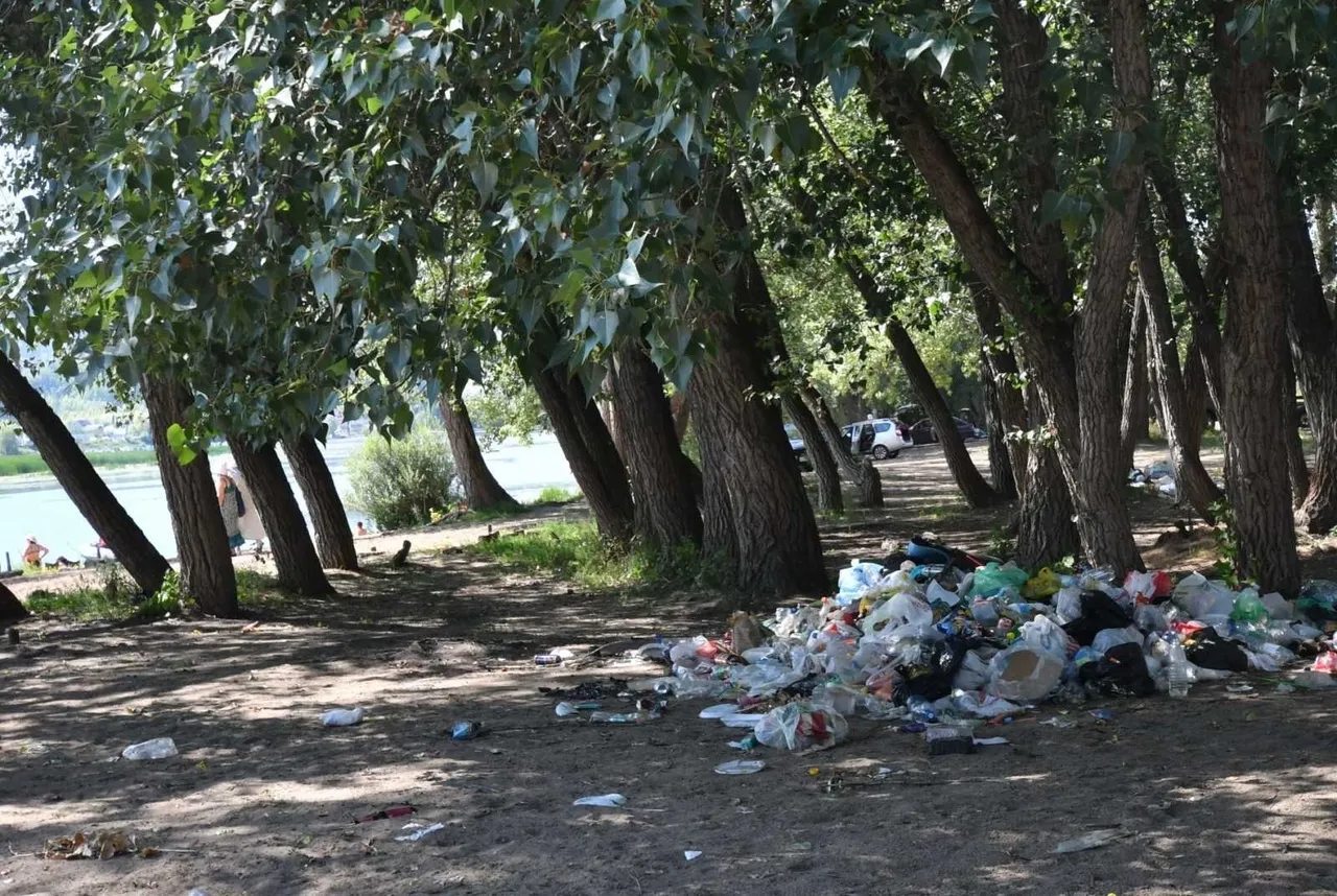 В Самарской области с пляжа на реке Сок вывезли полный грузовик мусора |  СОВА - главные новости Самары