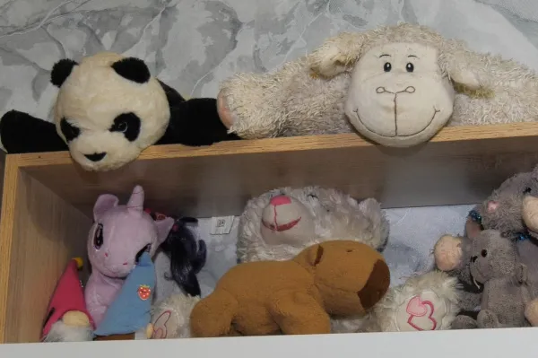 В Самарской области проект "Вызов" помог воссоединиться еще одной семье