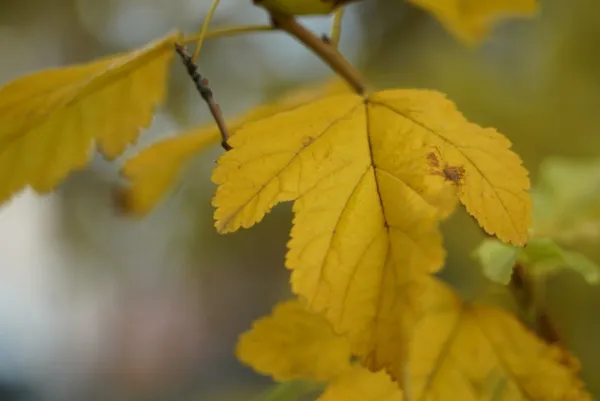 Народные приметы на 14 ноября 2025 года: что нельзя делать в этот день