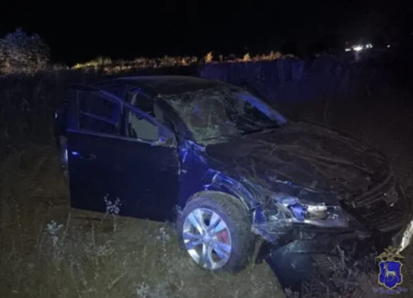 В Самарской области пьяный водитель на трассе вылетел в кювет