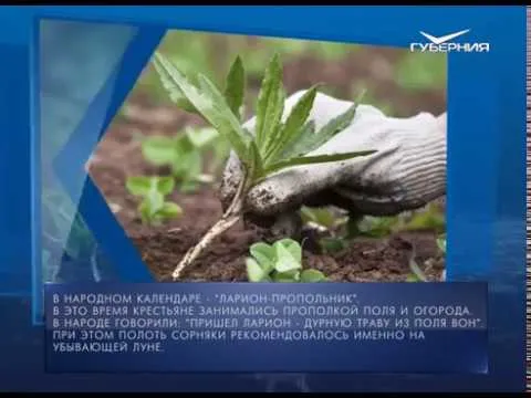 Календарь губернии от 19.06.2018