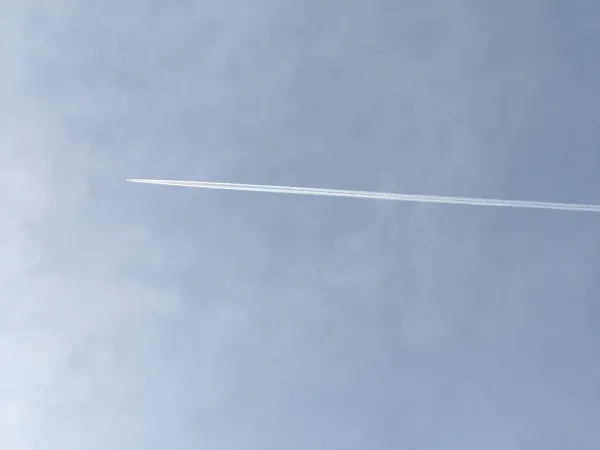 В ноябре из Самарской области возобновили прямые рейсы на острова