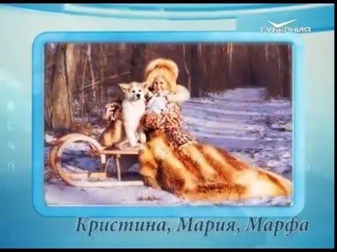 Календарь губернии 19.02.2016