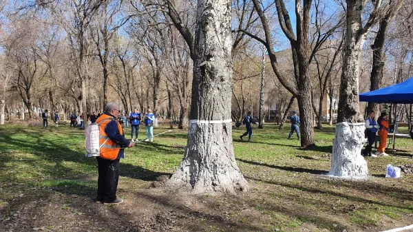 Участвуя в благоустройстве: самарцы вышли на общегородской субботник