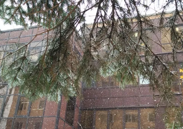 В Самарской области 13 декабря будет скользко и морозно