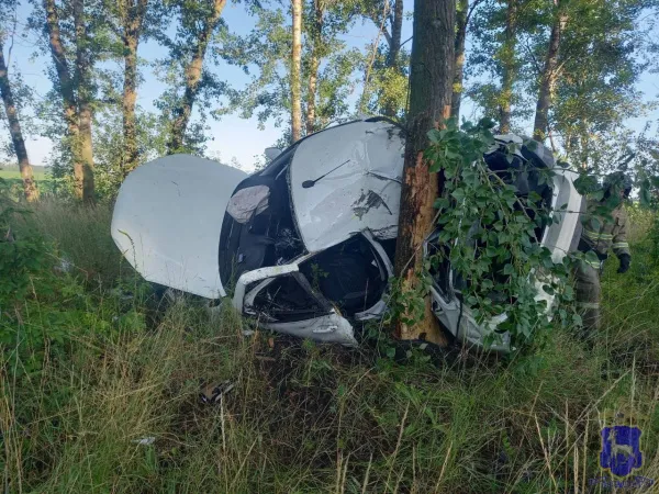 В Самарской области 6 июля водитель Гранты разбился насмерть