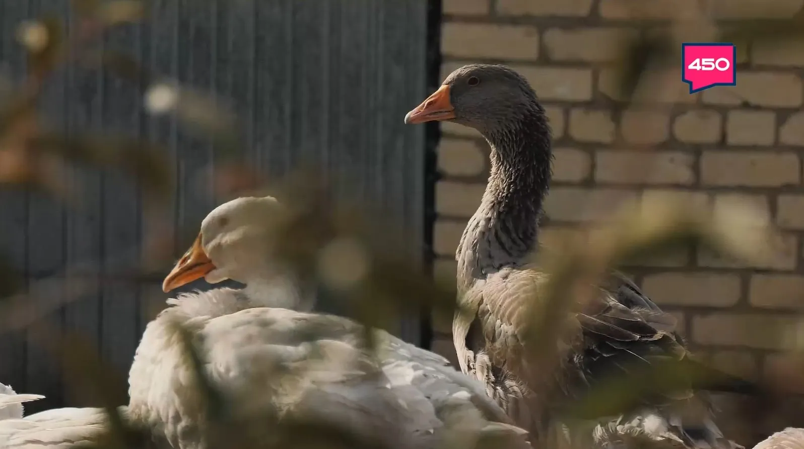 Название статьи