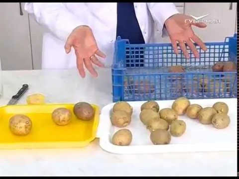 Удачные заметки 25.04.2017. Озеленение картофеля. Обрезка смородины. Дачные советы