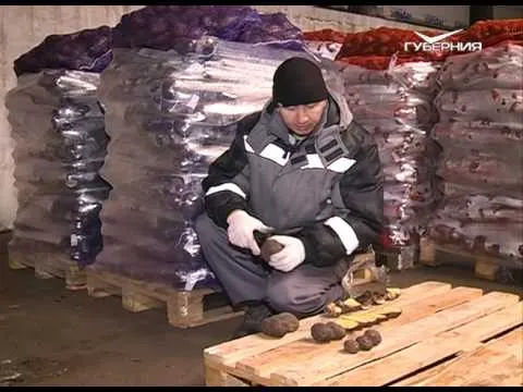 Удачные заметки 21.02.2017. Пернатые санитары. Прививка плодовых деревьев. Дачные советы