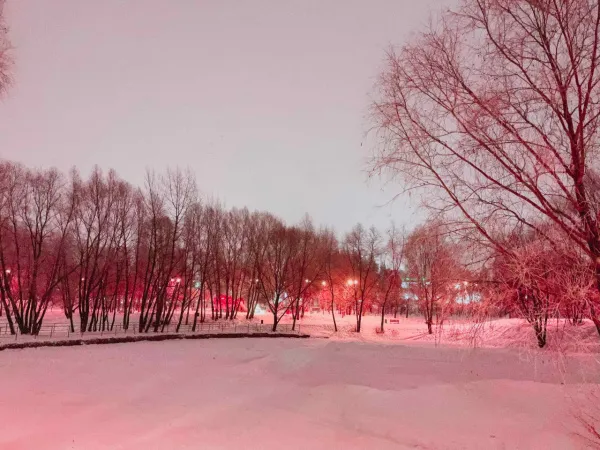 Скандинавские холода: в Самарской области 7 января похолодает до -26 градусов