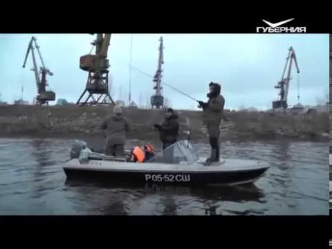 Найти и обмануть малька. Рыбацкое счастье от 07.11.2017