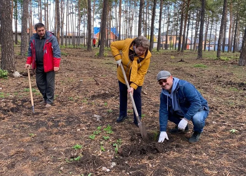 Сосновый бор в Усть-Кинельском пополнился новыми деревьями 