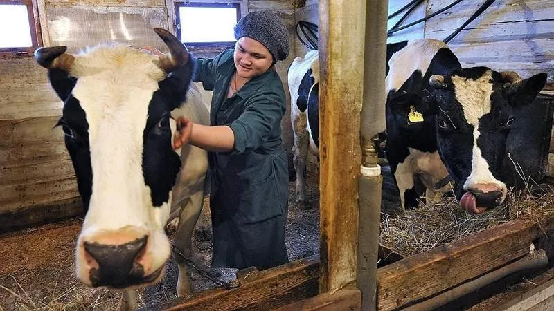 Четыре семьи Красноармейского района оформили социальные контракты 