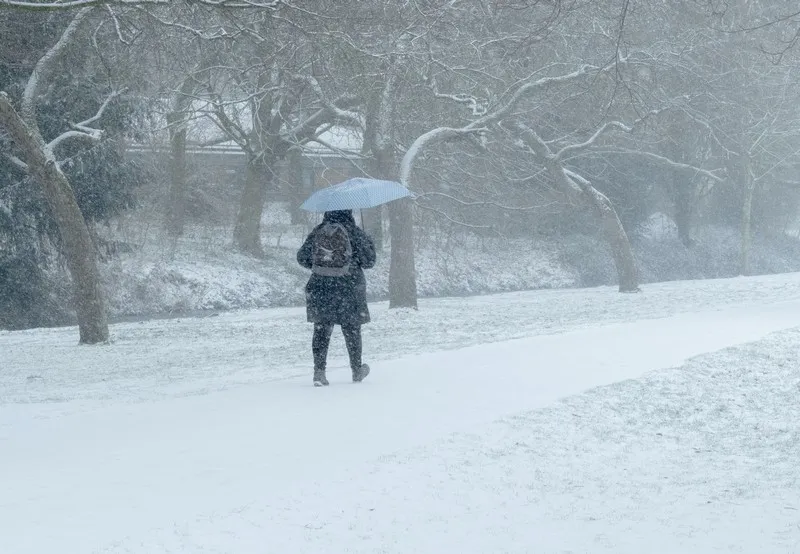 Метель жёлтого уровня: в Самарской области ожидаются сильный снегопад и шквалистый ветер