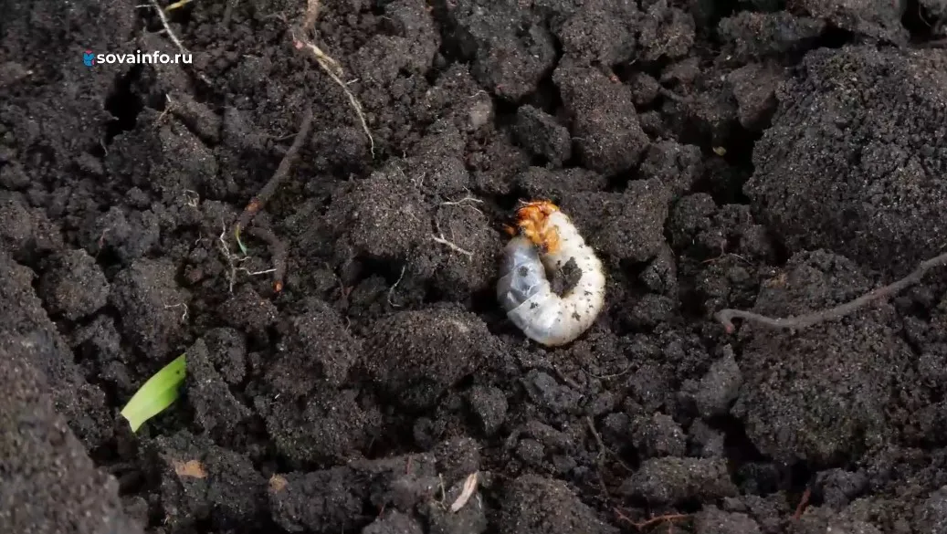 Название статьи