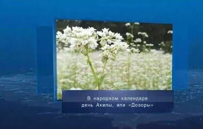 День, когда угождают хозяину поля. Календарь Губернии от 27 июля