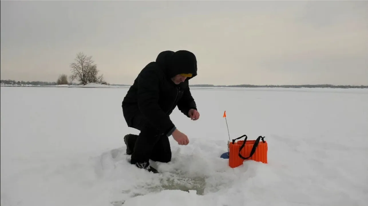 Название статьи