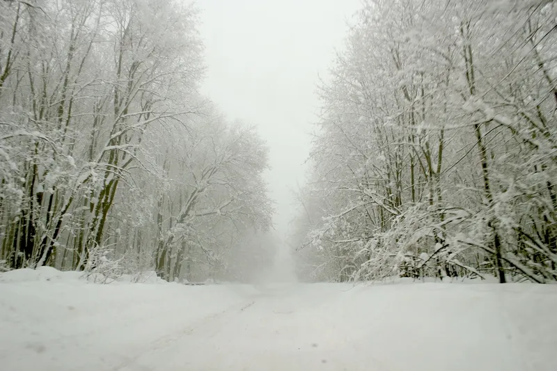 В нацпарке "Самарская Лука" продлили работу "зимника" до конца марта