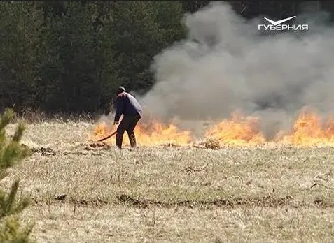 Сызрань возглавила антирейтинг Самарской области по природным пожарам