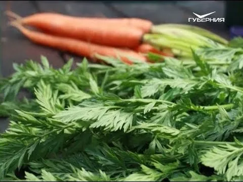 Морковь в косметологии. Утро Губернии