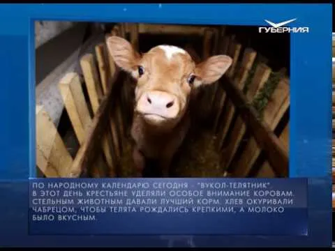 Календарь губернии от 19.02.2018