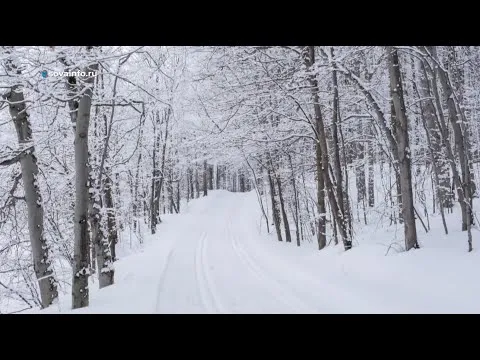 Зимние забавы. Утро Губернии