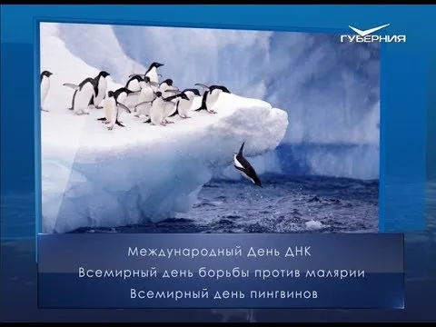Всемирный день пингвинов. Календарь губернии от 25 апреля