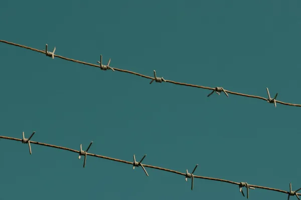 Дочери Тархова сообщили в колонию об убийстве родителей